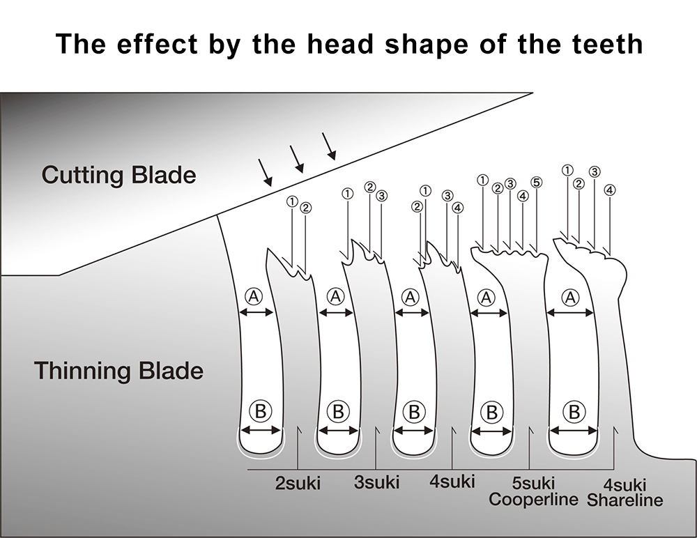 [image]The effect by the head shape of the teeth