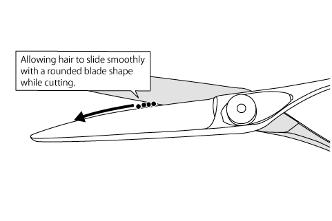 Illustration:Bamboo Leaf Blade