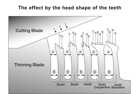 Graph:Types and Features of Thinning Scissors