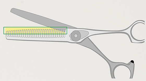 Photo:eatures of Thinning Scissors